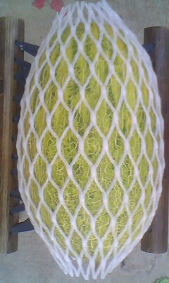 厂家供应珍珠棉网套 批发水果西瓜珍珠棉网套epe泡沫网套防护