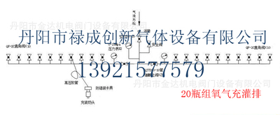 Supply production 20 Bottle Group oxygen Irrigation and drainage Carbon dioxide Specifications Gas Bus wholesale