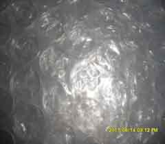 广州番禺厂家供应环保大泡气泡膜气泡袋