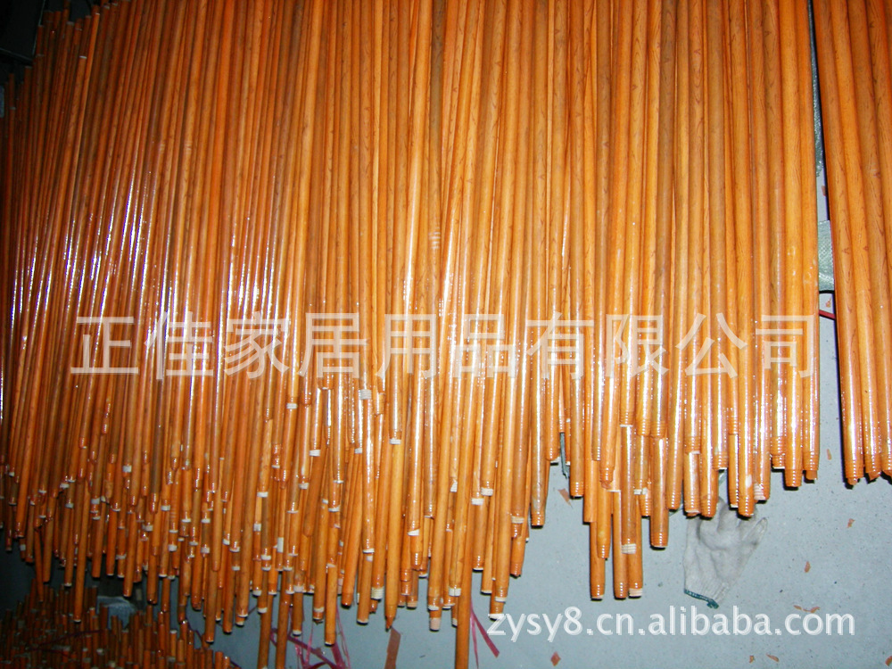 DSCN0236