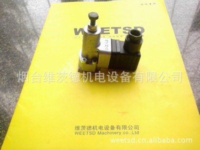 HAWE DG35压力继电开关（可以直接拍买！！！！！）|ru