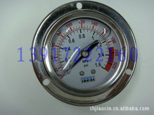 YN60ZT 0-1.6MPA 不锈钢耐震压力表 轴向带边
