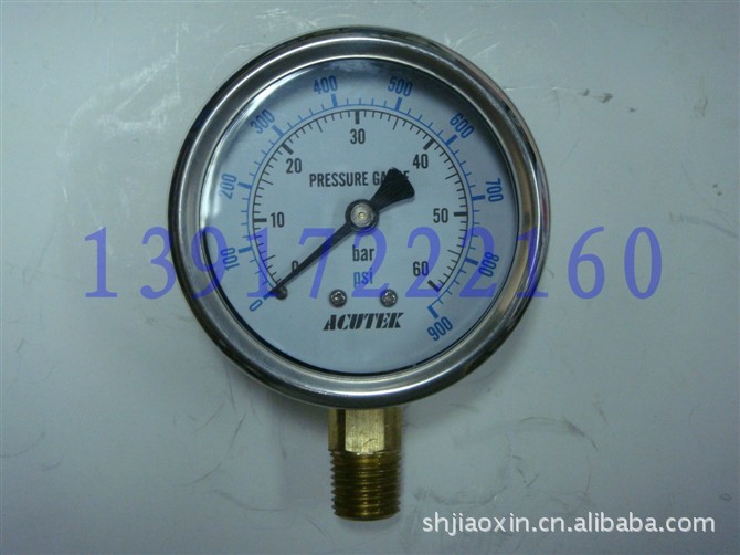 YN60 0-60Bar/耐震压力表/不锈钢外壳/美国进口
