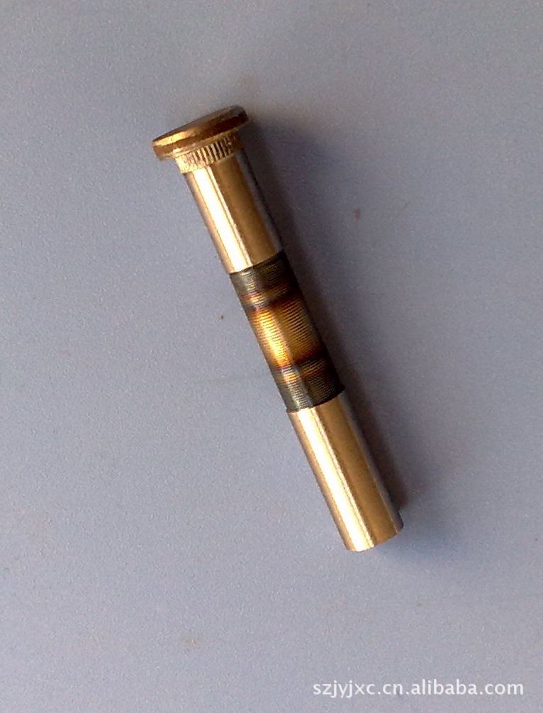 优质车门铰链轴 车门 门铰链 供应合页轴