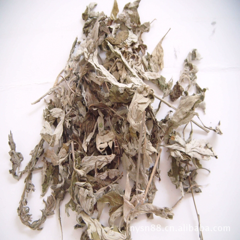 Производители продуктов полыни Nanyang поставляют высококачественные старые листья полыни Shennong