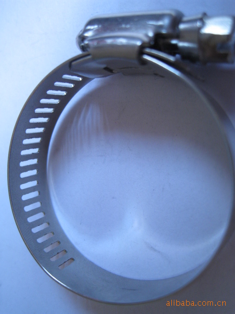 供应美式不锈钢201 301 304材质喉箍质优价廉期待您的来电