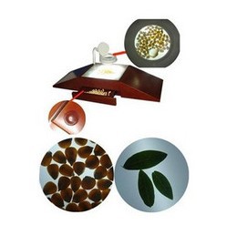 TJD-900种子净度工作台*种子净度工作台种子、幼苗、植物叶片、