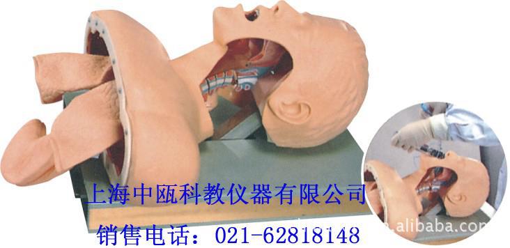 急救模型|J50型 高级人体气管插管训练模型（带报警）|医学模型