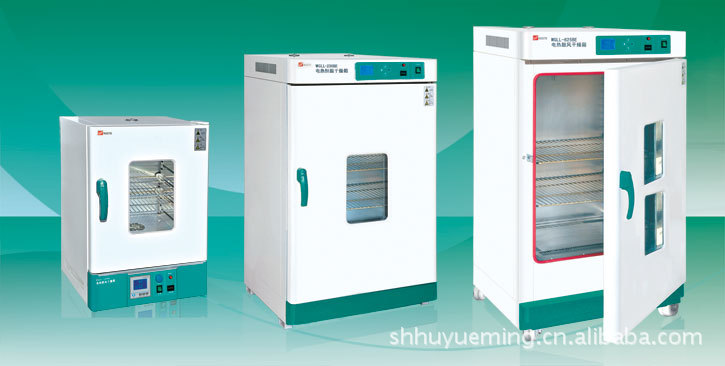 WGLL-230BE鼓风干燥箱泰斯特