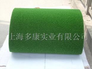 �����Խ�ݡ��Խ�ë�֡��̽��