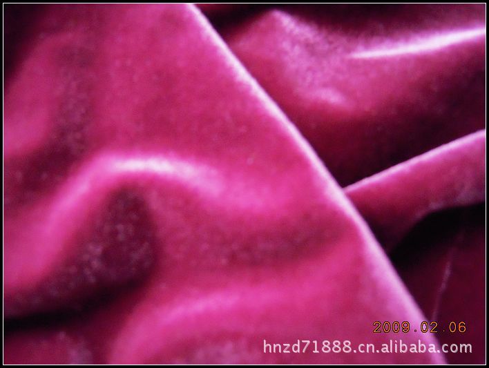 供应涤氨不倒绒布