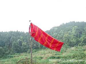 金属风向标 夜光金属风向标 风向袋 风向标  风向指示标