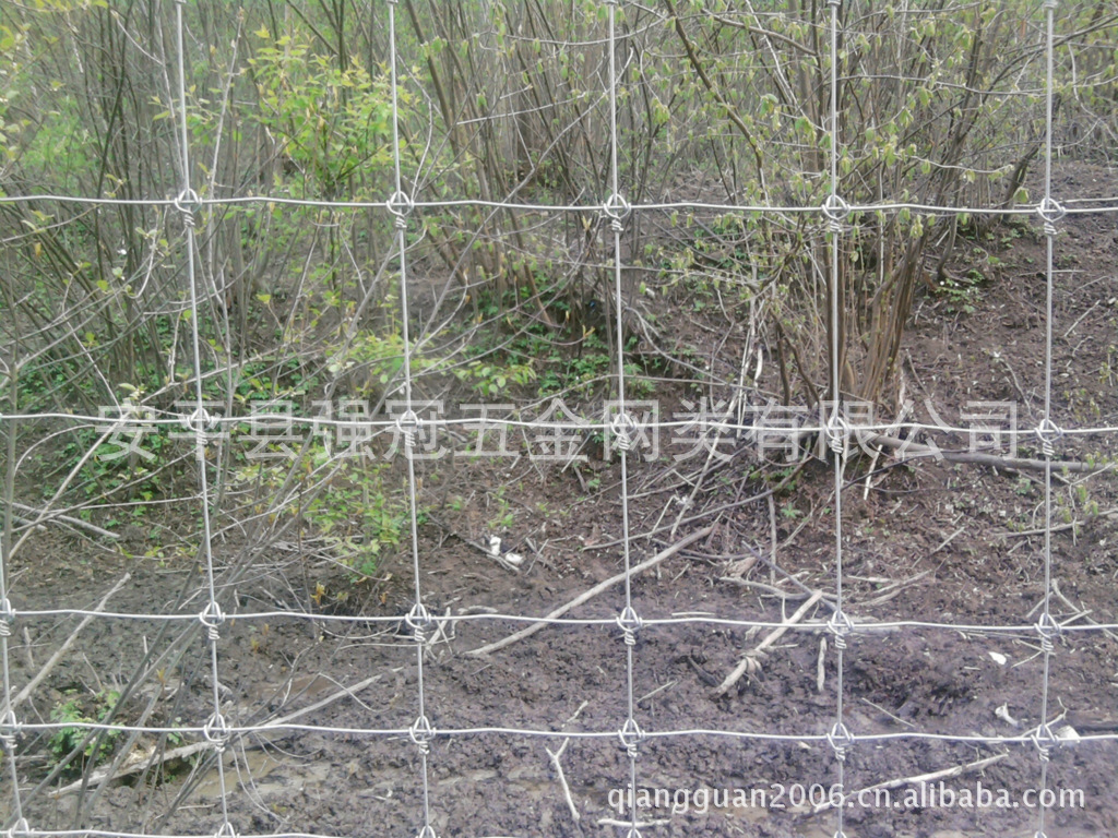 大量供应韧性大 耐腐蚀 牛栏网 草原网 环绕型牛栏网