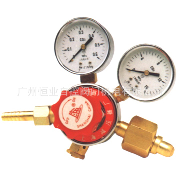 供应上海减压器厂 广东供应商 二氧化碳减压器YQT-731