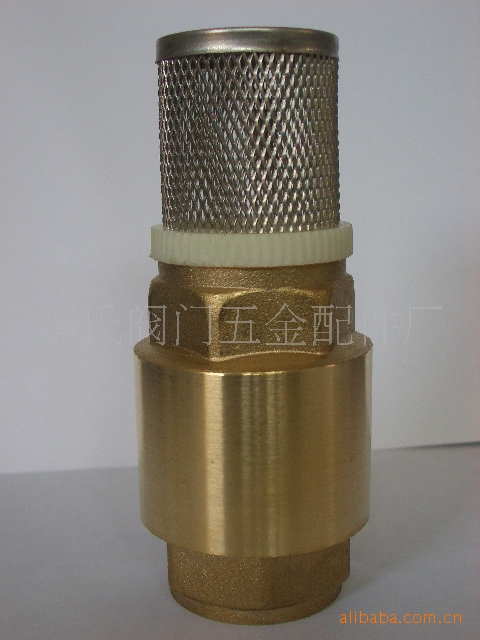 欧式黄铜立式升降式止回阀过滤网弹簧单向止逆水泵底阀玉环铜阀门
