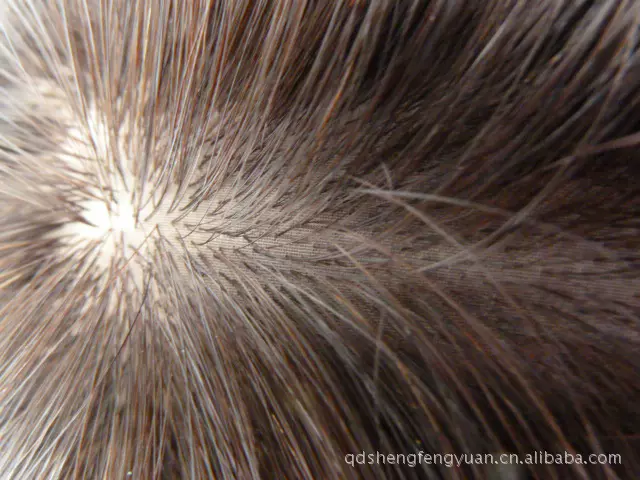 厂家生产保鳞发  顺发 单递针 女士真人发丝假发工艺品