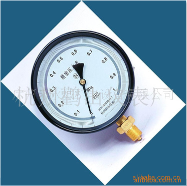 广州供应YTNB150精密压力表