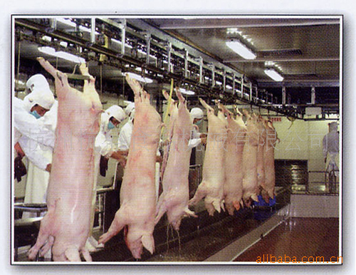 毛猪屠宰设备,肉猪分割流水线,生猪处理宰杀机械设备