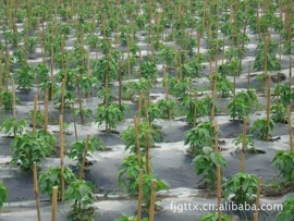 农用薄膜;包装薄膜;其他塑料薄膜