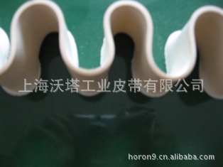 ���ʹ���ȹ�����ʹ�����������ʹ����������ʹ� ��ҵƤ��