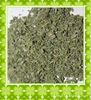 supply Catnip Dry leaves Quality Large supply