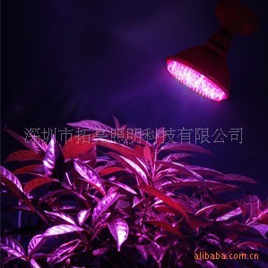 Factory direct supply Circular High Quality Small power LED Grow Light