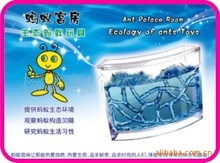 生产加工蚂蚁工坊宫房/工房/蚂蚁家园 蚂蚁农场 桌面宠物蚂蚁玩具
