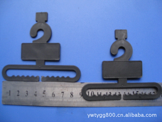 2011年10月25照片 013