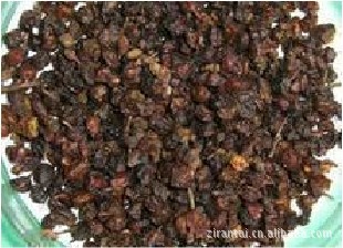 Seabuckthorn Drugs are Bozhou Primary sources wholesale Inner Mongolia Seabuckthorn fruit
