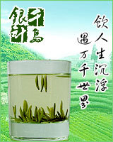 wholesale 2021 Green Tea Single bud Lake Silver needle newly picked and processed tea leaves Taste refreshing Drink