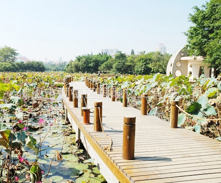 厂家直供室外木器漆家具漆水性涂料木器翻新耐水性户外耐候木器漆