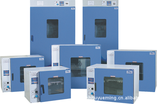 电热恒温鼓风干燥箱DHG-9030A(101-0)