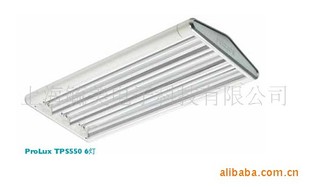 Philips tp550 2 × TL5 54W HFP grille lamp