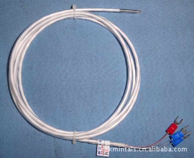 供应PT100 台湾防腐热电阻；耐酸碱热电偶热电阻 WZP-PT100