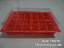 ����24Ѩ����������Ѩ�P ���ܰ��b �gӭ�xُ