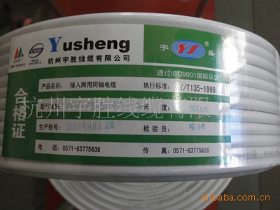 浙江临安 块状经济 生产基地 SYWV-75-5 国标闭路线电视线|ms