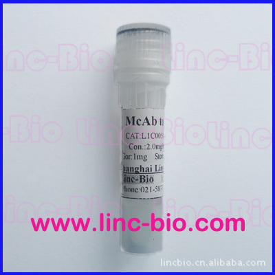 Bata-HCG Antibody