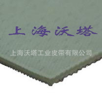 PE输送带 进口输送带 平板输送带 滚轮输送带 烟草行业输送带