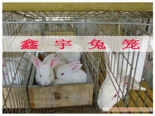 �����N�������N�û\60&times;150&times;180mm
