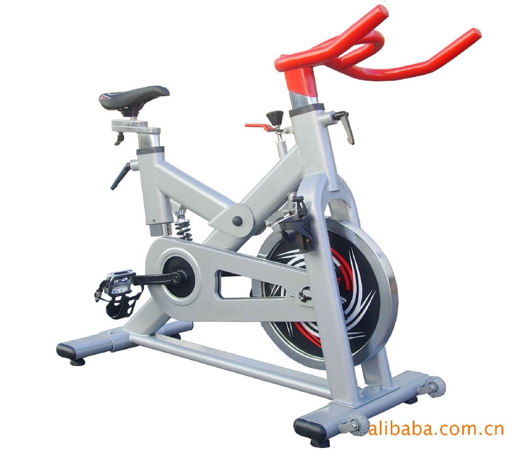 動感單車  SW-980