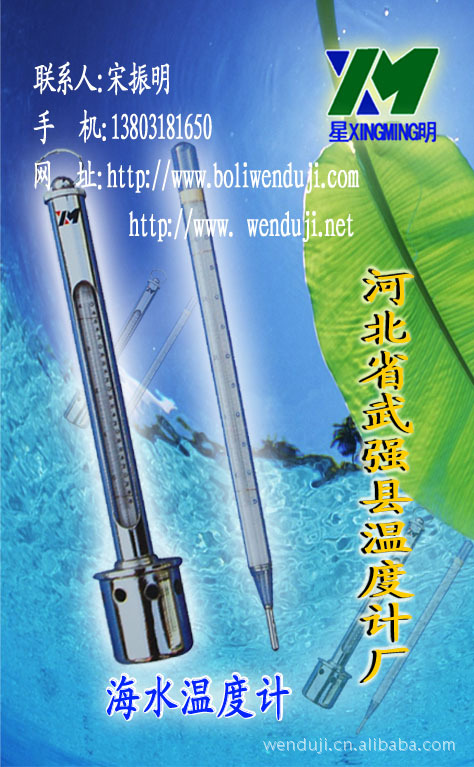 供应表层水温计 深水水温计 不锈钢套水温计