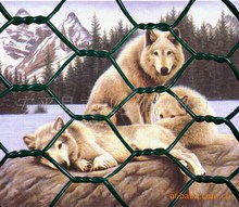 �S�r�����������ǾW ʯ�\�W ���e�W �U�z�\�W 늺�ʯ�\�W