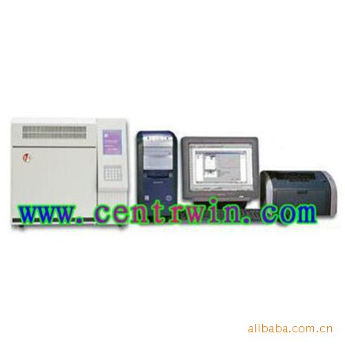 气相色谱仪/气象色谱仪（主机） 型号：ZH7666