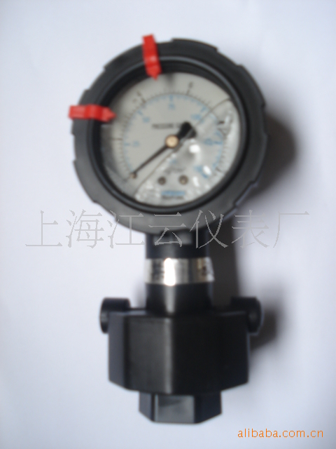 供应PP型隔膜压力表