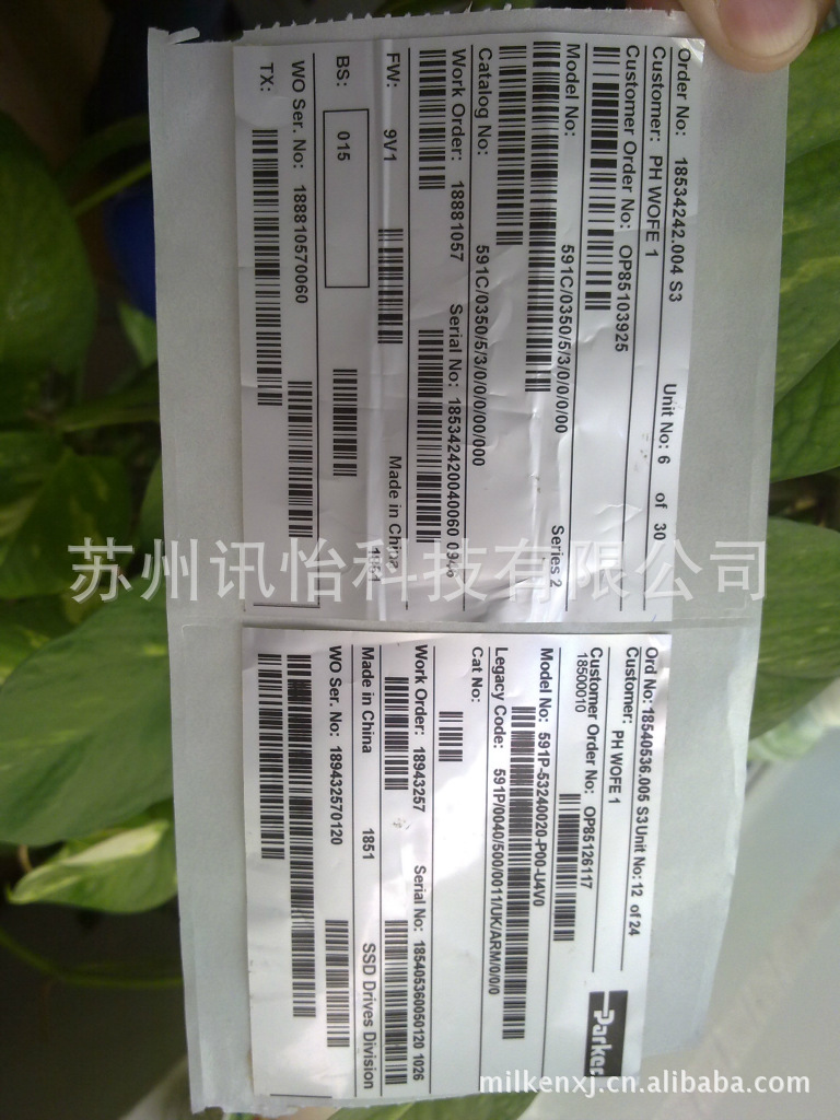 FASSON艾利25u亚透明PET S8020轮转彩印厂复合型胶粘剂25u亚透明P