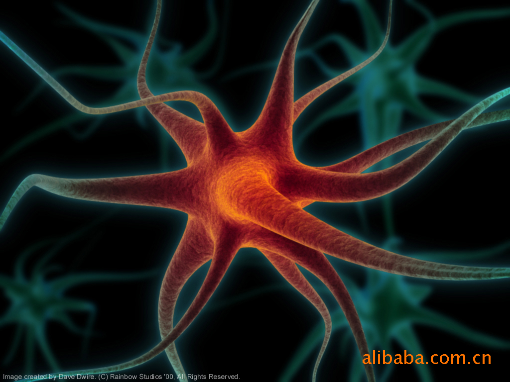 原装日本进口 磷脂酰丝氨酸 PS50 美国嘉吉