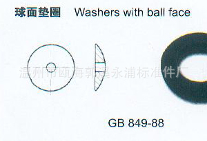 供应球面垫片GB849 材质碳钢/不锈钢 规格全现货充足欢迎咨询