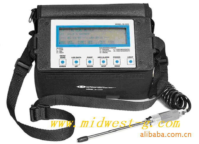 可仪价-IQ1000 IST便携式多气体检测仪  M327586