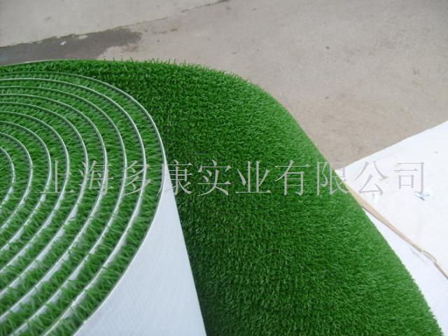 金毡、抓金草、洗金草