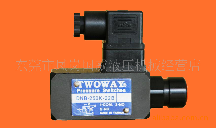 厂家促销压力开关台湾压力继电器DNB-250K|ru